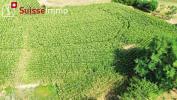 Annonce Vente Terrain Bournois
