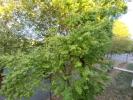 Louer Appartement 64 m2 Beaune