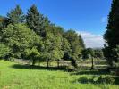 Annonce Vente Terrain Treignac