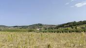 Acheter Terrain 10175 m2 Pauligne