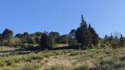 Annonce Vente Terrain Limoux