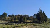 Acheter Terrain 2966 m2 Limoux