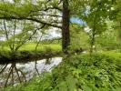 Acheter Immeuble 900 m2 Peyrat-de-bellac