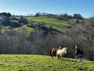 Annonce Vente 6 pi�ces Maison Maurs