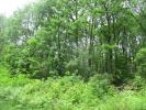 Acheter Domaine forestier Sainte-foy-de-belves 14000 euros