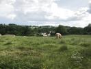 Vente Terrain Bagnac-sur-cele 46