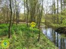 Vente Terrain Guerche-sur-l'aubois  18150 3790 m2