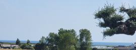 Annonce Vente 9 pi�ces Maison Plouhinec