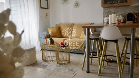 Vente Appartement 2 pièces LUCCIANA 20290