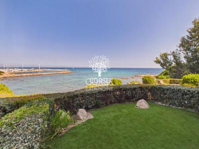 Vente Appartement 3 pièces SARI-SOLENZARA 20145