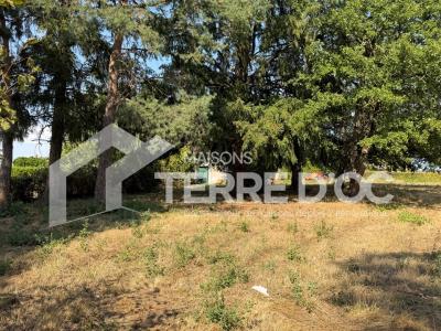 Vente Terrain ROSIERES  81