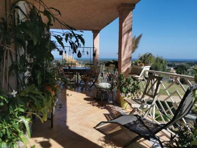 Location Maison 4 pièces CASTELLARE-DI-CASINCA 20213