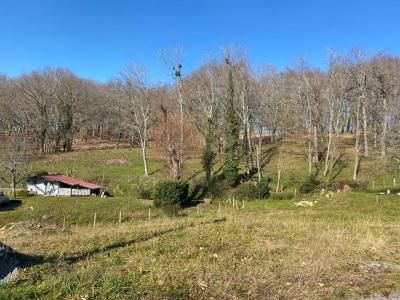Vente Terrain SALIES-DE-BEARN 64270