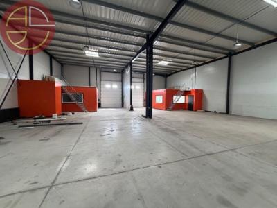 Location Commerce PLAISANCE-DU-TOUCH  31