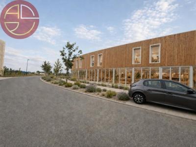 Vente Commerce CASTANET-TOLOSAN 31320