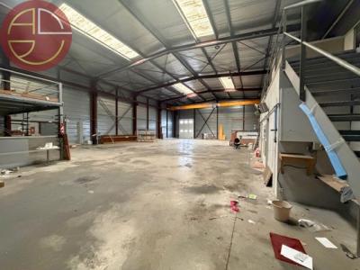 Vente Commerce PLAISANCE-DU-TOUCH  31
