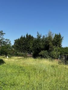 Vente Terrain PESSAC  33