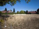 Annonce Vente Terrain Relans
