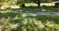 Annonce Vente 5 pi�ces Maison Brillanne