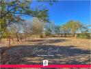 Annonce Vente 5 pi�ces Maison Mereau