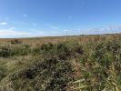 Acheter Terrain 32767 m2 Braud-et-saint-louis