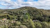 Vente Maison Porto-vecchio 20