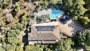 Acheter Maison 220 m2 Porto-vecchio