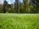 House WALLON-CAPPEL 