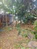Annonce Vente 6 pi�ces Maison Ravine-des-cabris