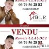 Annonce Vente Terrain Asnans-beauvoisin