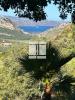 Annonce Vente 7 pi�ces Maison Barbaggio