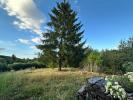 Annonce Vente 8 pi�ces Maison Brunelles