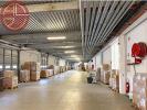 For rent Commerce Grisolles  82170 6526 m2