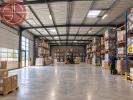 Commerce TOULOUSE 