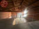 Annonce Location Commerce Saint-lys