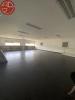 Acheter Commerce Saint-alban 1575000 euros