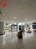 Louer Local commercial Toulouse Haute garonne