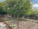 Annonce Vente Terrain Contrexeville