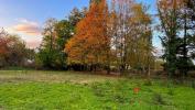 Vente Terrain Cellier 44