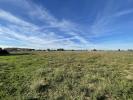For sale Land Cailar  30740 444 m2
