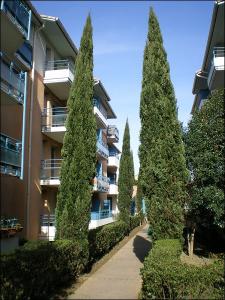 Location Appartement 3 pièces TOULOUSE 31300