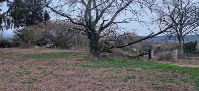 Vente Terrain VEZERONCE-CURTIN 38510