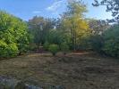Vente Terrain Cursan 33