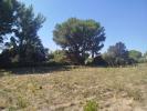 Acheter Maison Ollioules Var