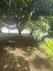 Annonce Vente Terrain Riviere-pilote