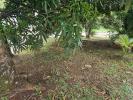Acheter Terrain Riviere-pilote 68000 euros