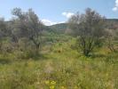 Acheter Terrain 2632 m2 Ceyras