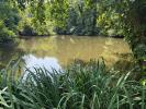 For sale Land Montgobert  02600 12000 m2