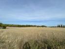 Acheter Terrain 24142 m2 Nespouls