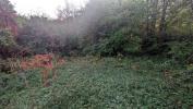 Annonce Vente Terrain Pressins